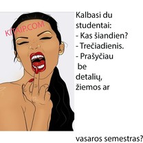 Studentų gyvenimas