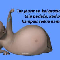 Grožio salonas