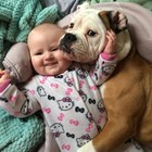 Šuo - geriausias kūdikio draugas!