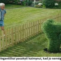 Nemėgstu kaimyno
