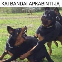 Pikta mergina