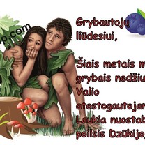 Jei ne grybai ir ne uogos...