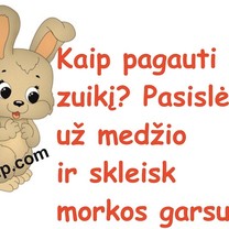 Pagauk jei gali