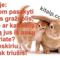 Kiškiatriušis