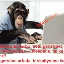 Šefas