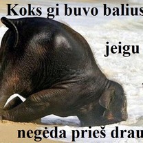 Rytas