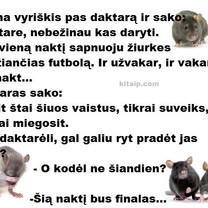 Žiurkės