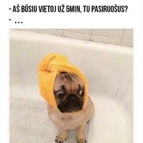 Beveik