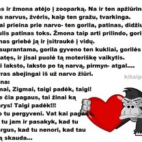 Gorila