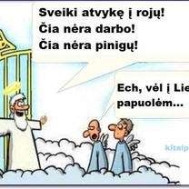 Rojus