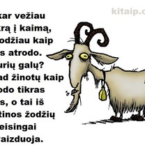 Ožys