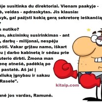 Direktorius