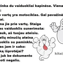 Vaiduokliai