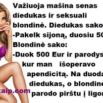 Diedukas ir seksuali blondinė