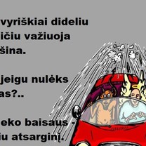 Didelis greitis