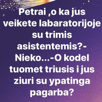 Triušis