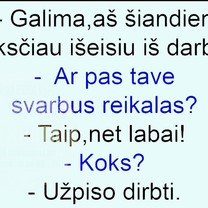 Svarbus reikalas