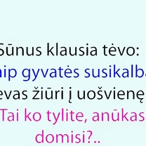 Gyvatės