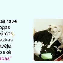 Geras :)