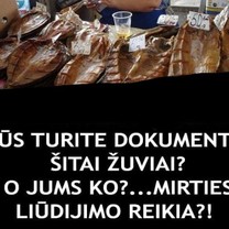 Žuvis