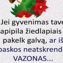Žiedlapiai :)