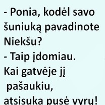 Šunelis "Niekšas"