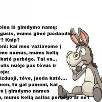 Juodaodis
