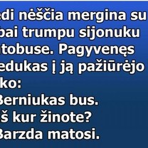 Trumpas sijonas