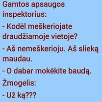 Už ką bauda?