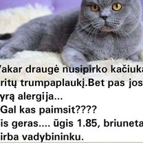 Paimsit?