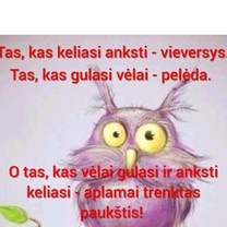 Pelėda, vieversys ar...?