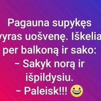 Noras