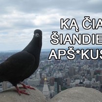 Šiandien aš nusiteikęs "prikolinti"