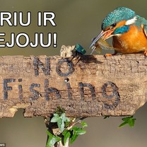 Noriu ir žvejoju! O kas man :)