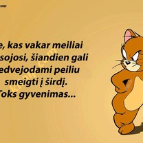 Toks gyvenimas