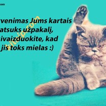 Toks mielas