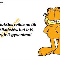Šiukšlės
