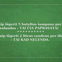 Juk taip paprasta ir taip sudėtinga vienu metu