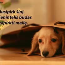 Nusipirk šunį