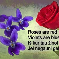 Gėlės