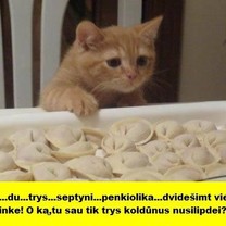 Vargšas šeimininkas