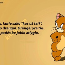 Kas už tai?