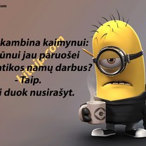 Namų darbai