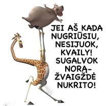 Žvaigždžių lietus