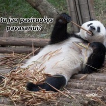 Pavasaris jau čia pat
