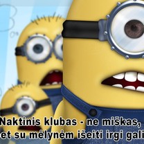 Visai kaip miške