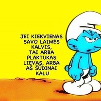 Kiekvienas savo laimės kalvis