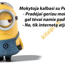 Dėl visko kaltas internetas!