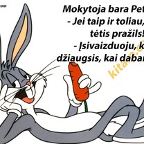 Šukuosenų ypatumai
