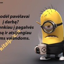 Pagalvės pavojingos